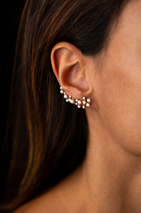 Pink Gold Earrings with Diamonds