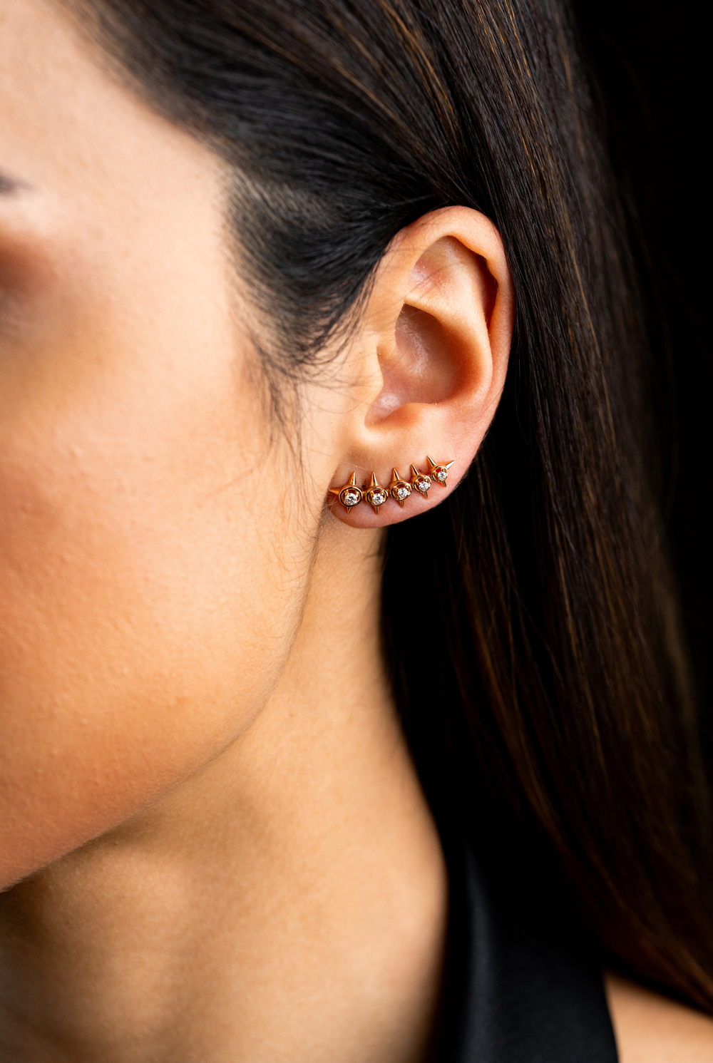 Peak Palace Crawler M Earrings