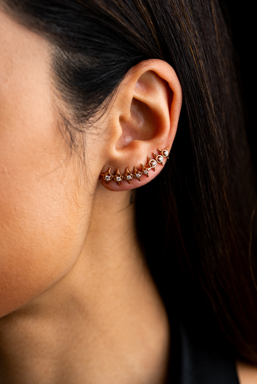 Peak Palace Crawler M Earrings