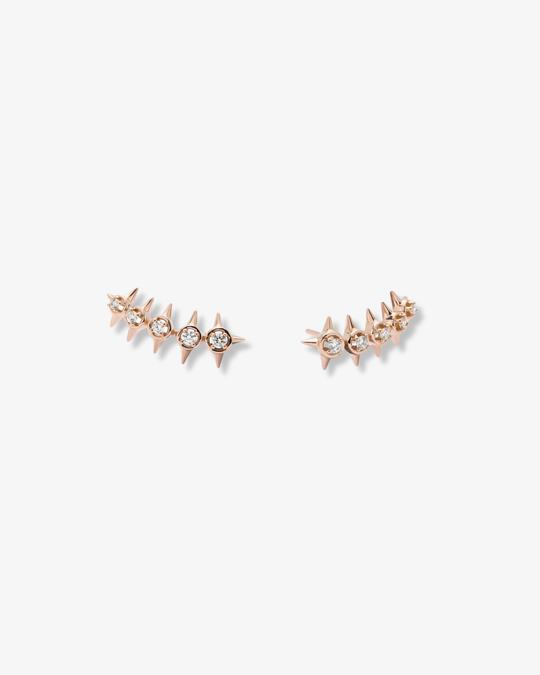 Peak Palace Crawler M Earrings