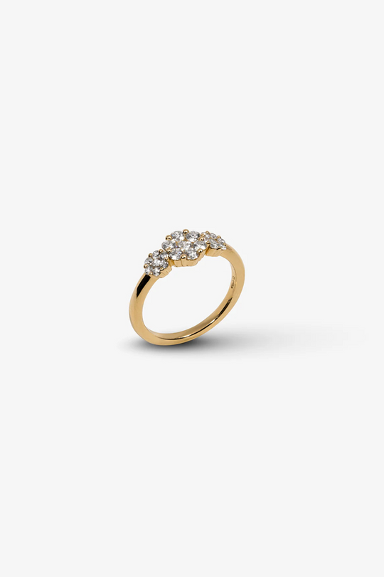 Yellow Gold and Diamonds Engagement Ring