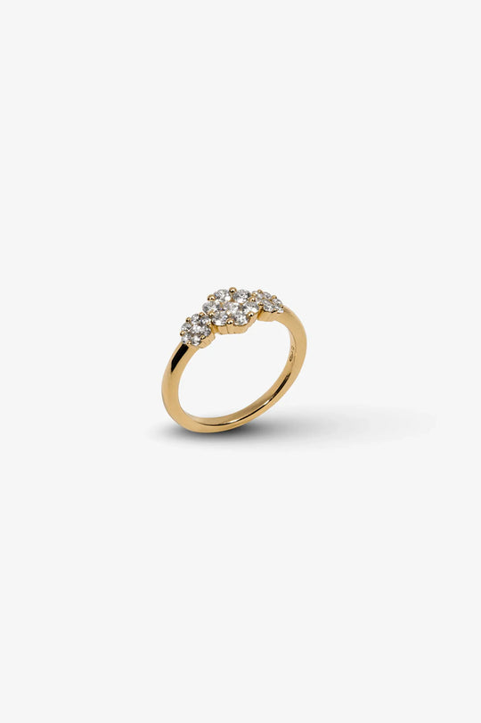 Yellow Gold and Diamonds Engagement Ring