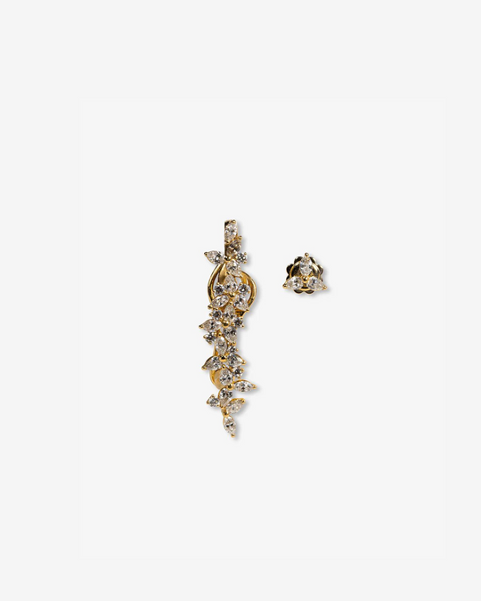 Gold and Diamonds Earrings