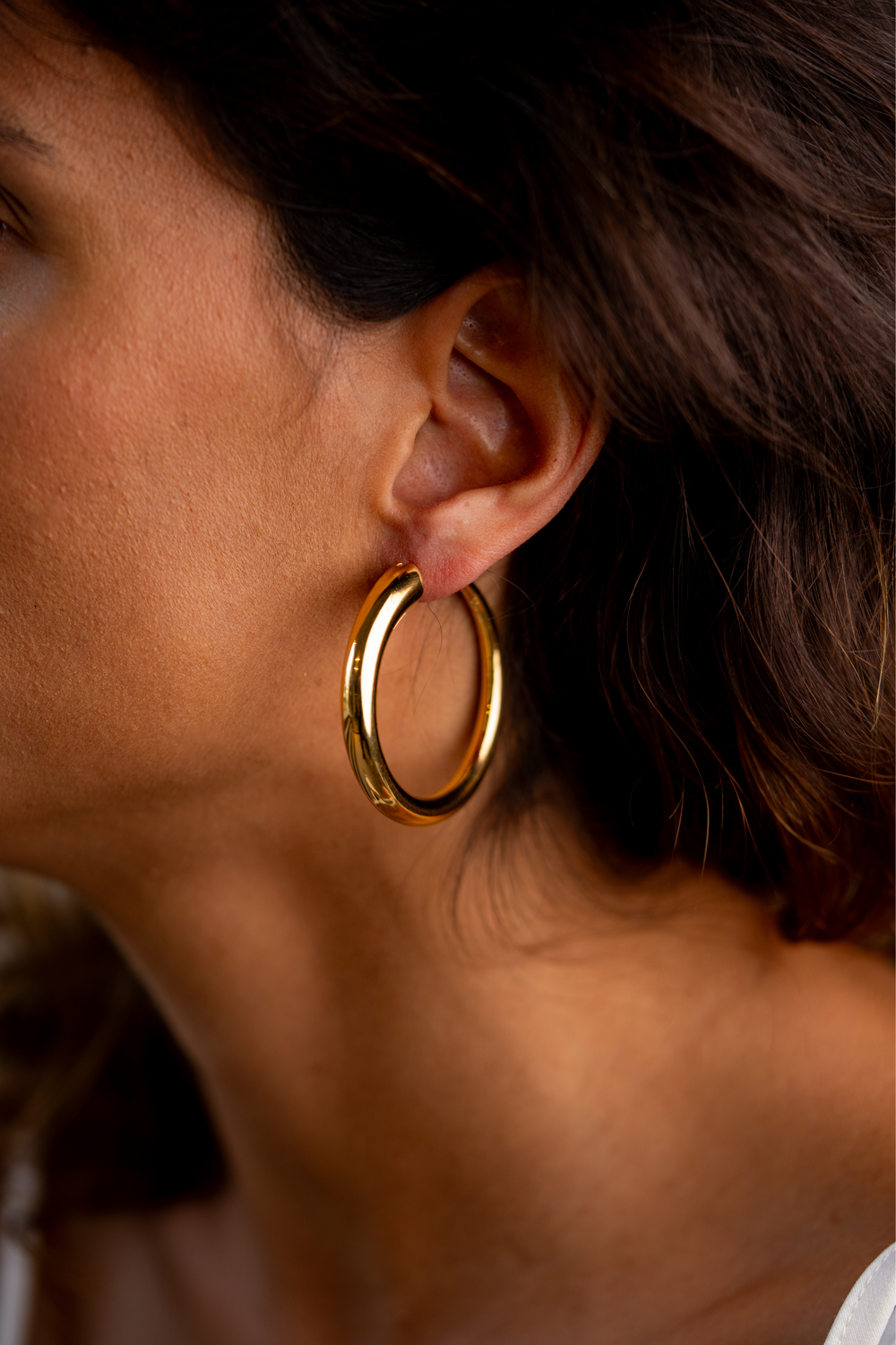 Gold Loop Earrings II